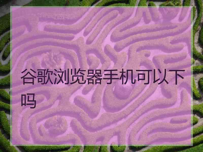 谷歌浏览器手机可以下吗