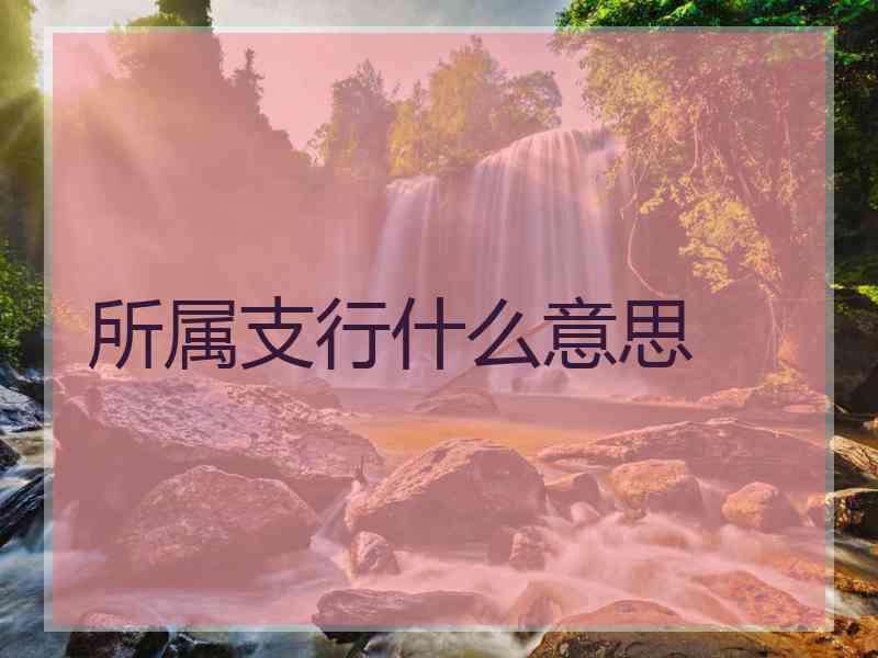 所属支行什么意思