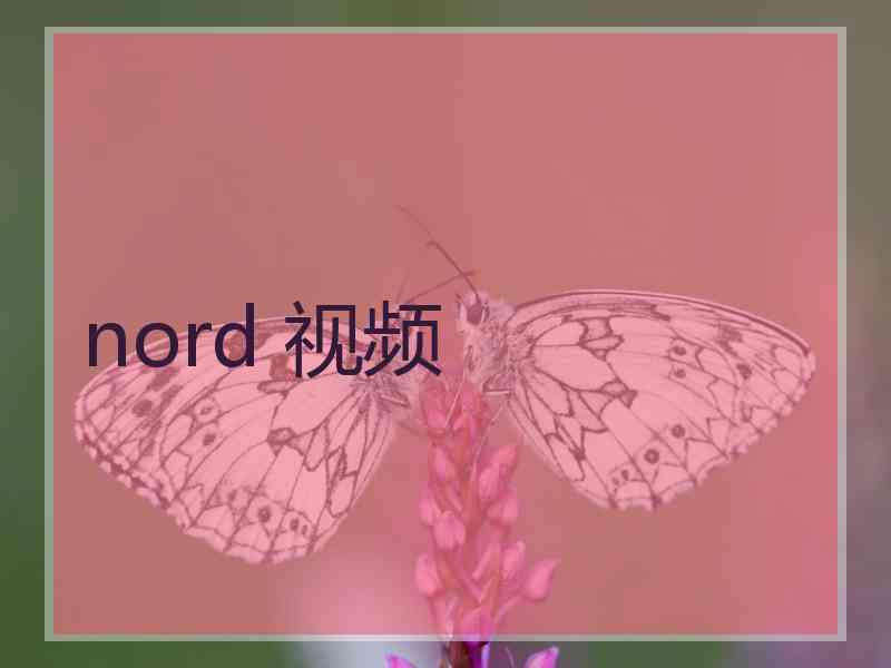 nord 视频