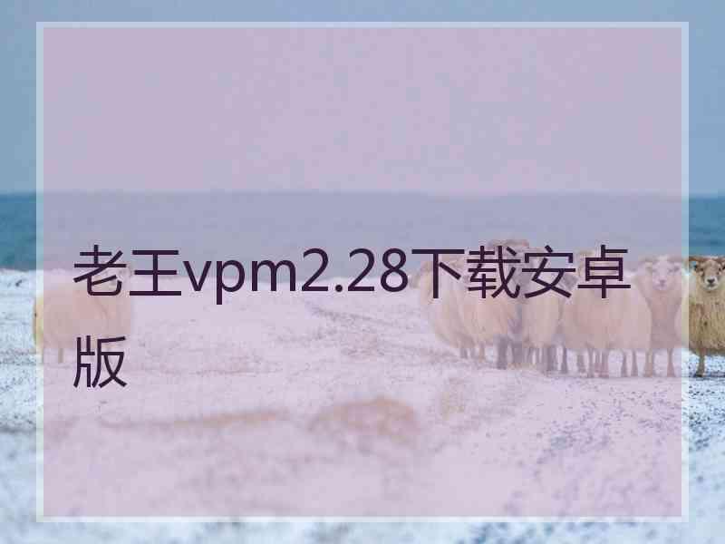 老王vpm2.28下载安卓版