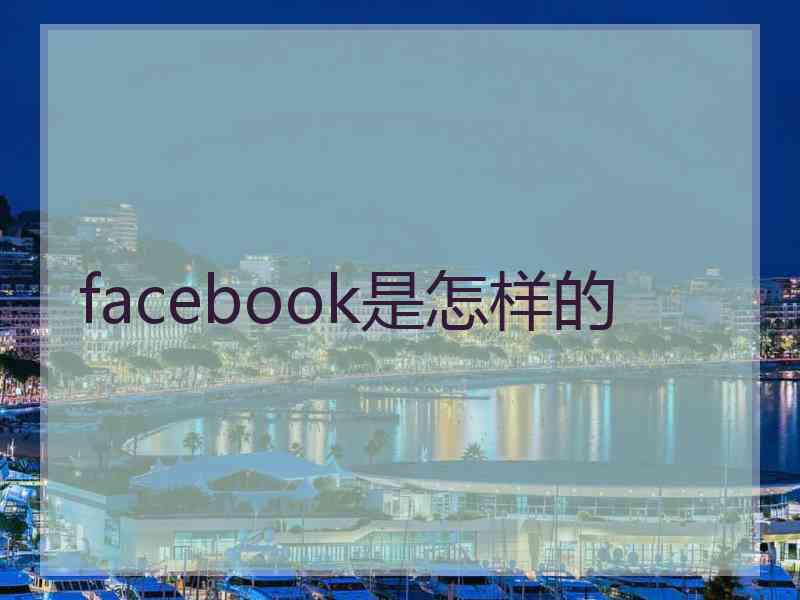 facebook是怎样的