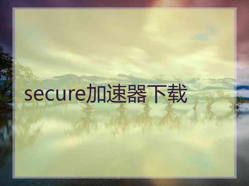 secure加速器下载