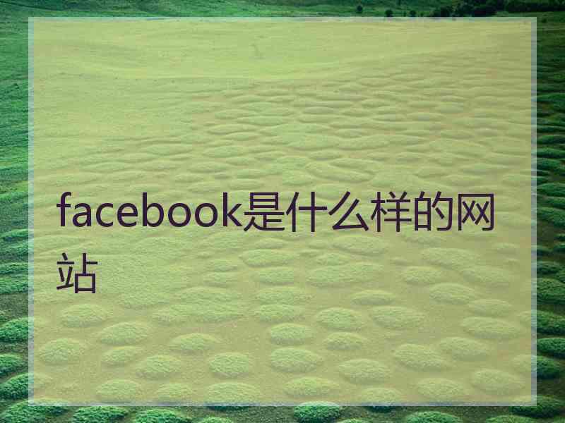 facebook是什么样的网站