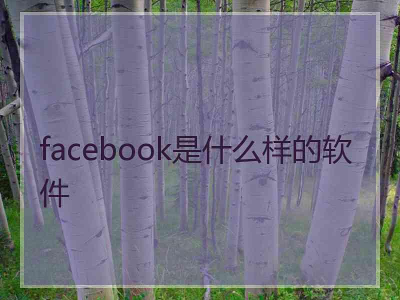 facebook是什么样的软件