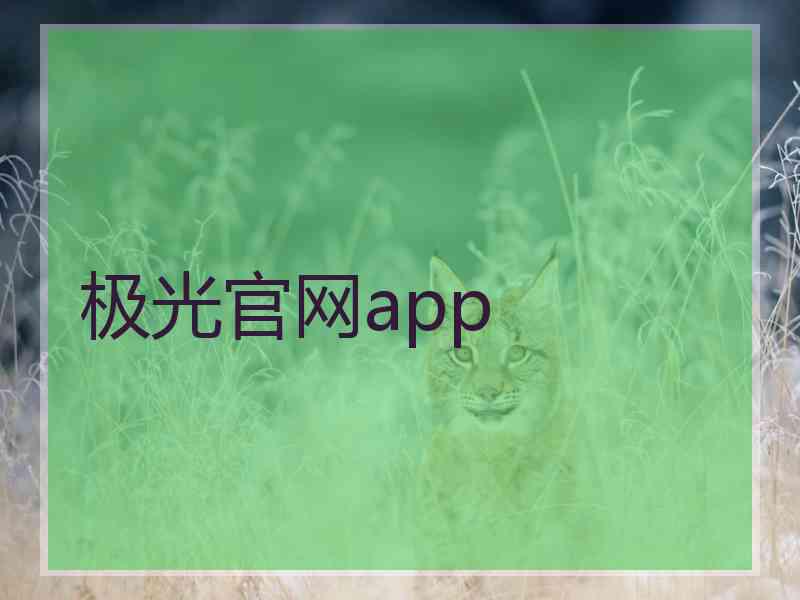 极光官网app