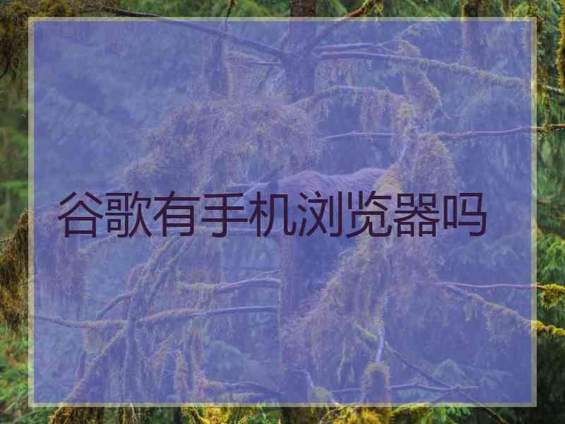 谷歌有手机浏览器吗