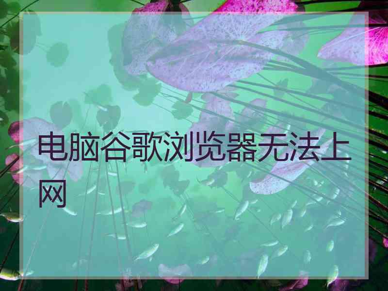 电脑谷歌浏览器无法上网