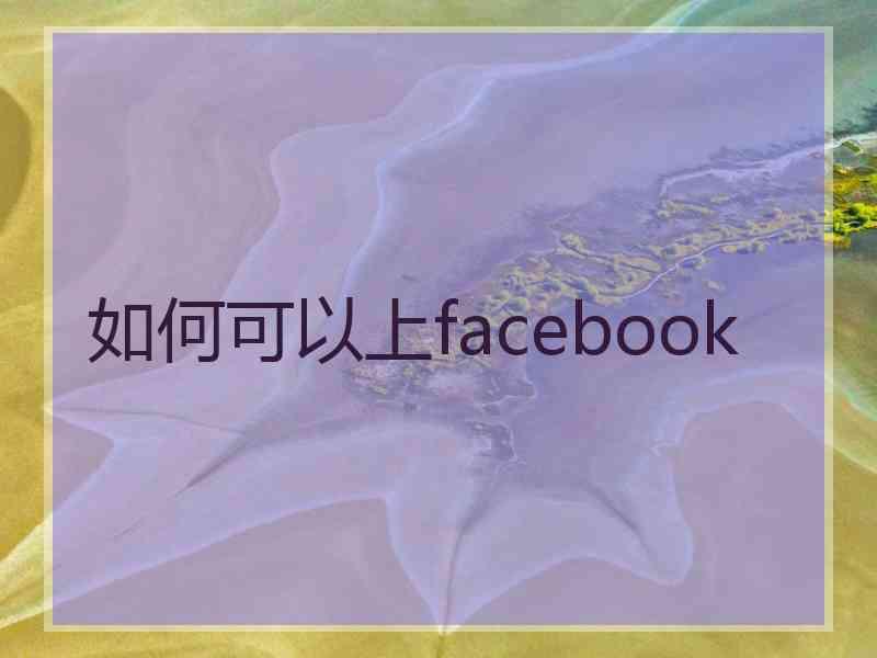 如何可以上facebook