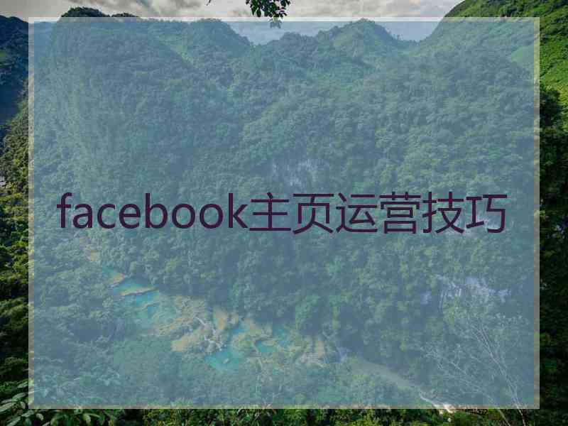 facebook主页运营技巧