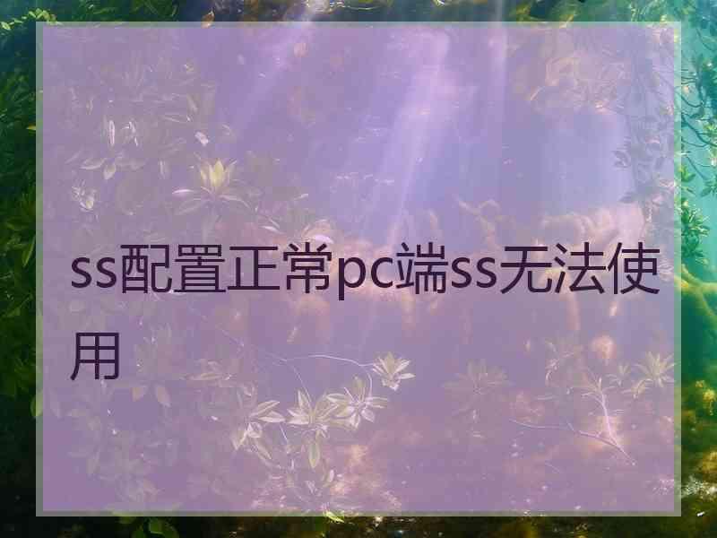 ss配置正常pc端ss无法使用