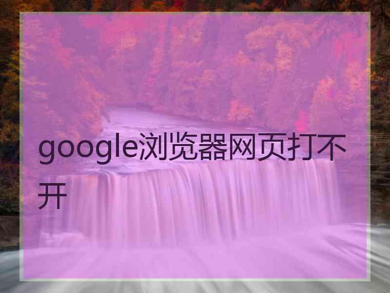 google浏览器网页打不开