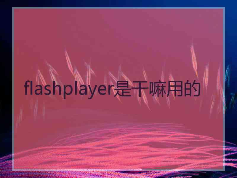 flashplayer是干嘛用的