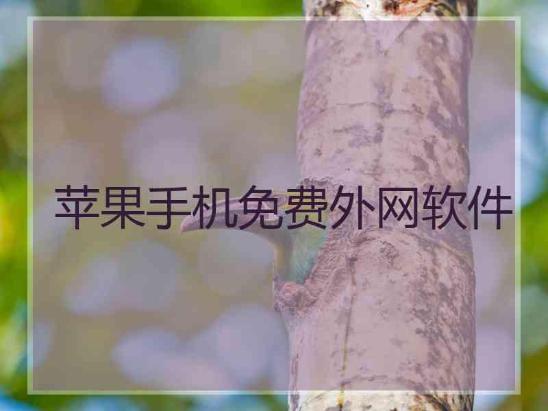 苹果手机免费外网软件