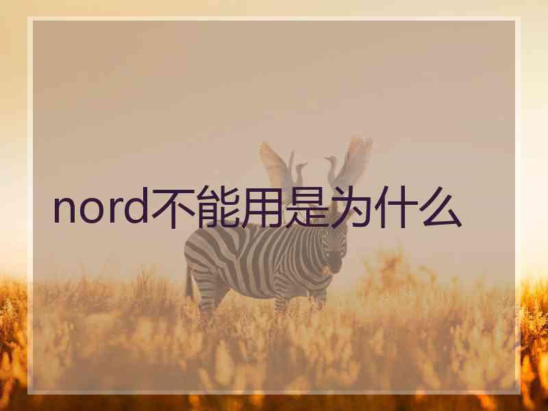 nord不能用是为什么