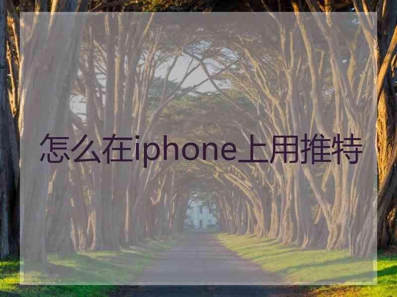 怎么在iphone上用推特